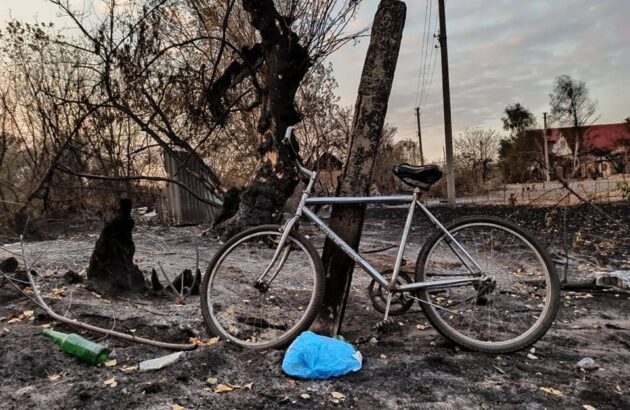 Пожежі на Луганщині: Восток SOS звітує про надану допомогу