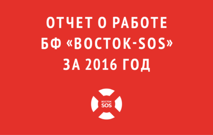 Отчет о работе БФ «Восток-SOS» за 2016 год