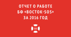 otchet-o-rabote-bf-vostok-sos-za-2016-god