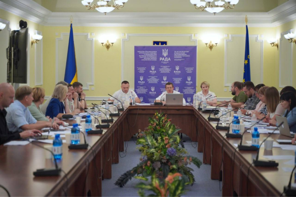 An expert from our team participated in a meeting of the Temporary Special Commission of the Verkhovna Rada of Ukraine on the protection of property and non-property rights of IDPs and other persons affected by the war | CF «East SOS», картинка №2