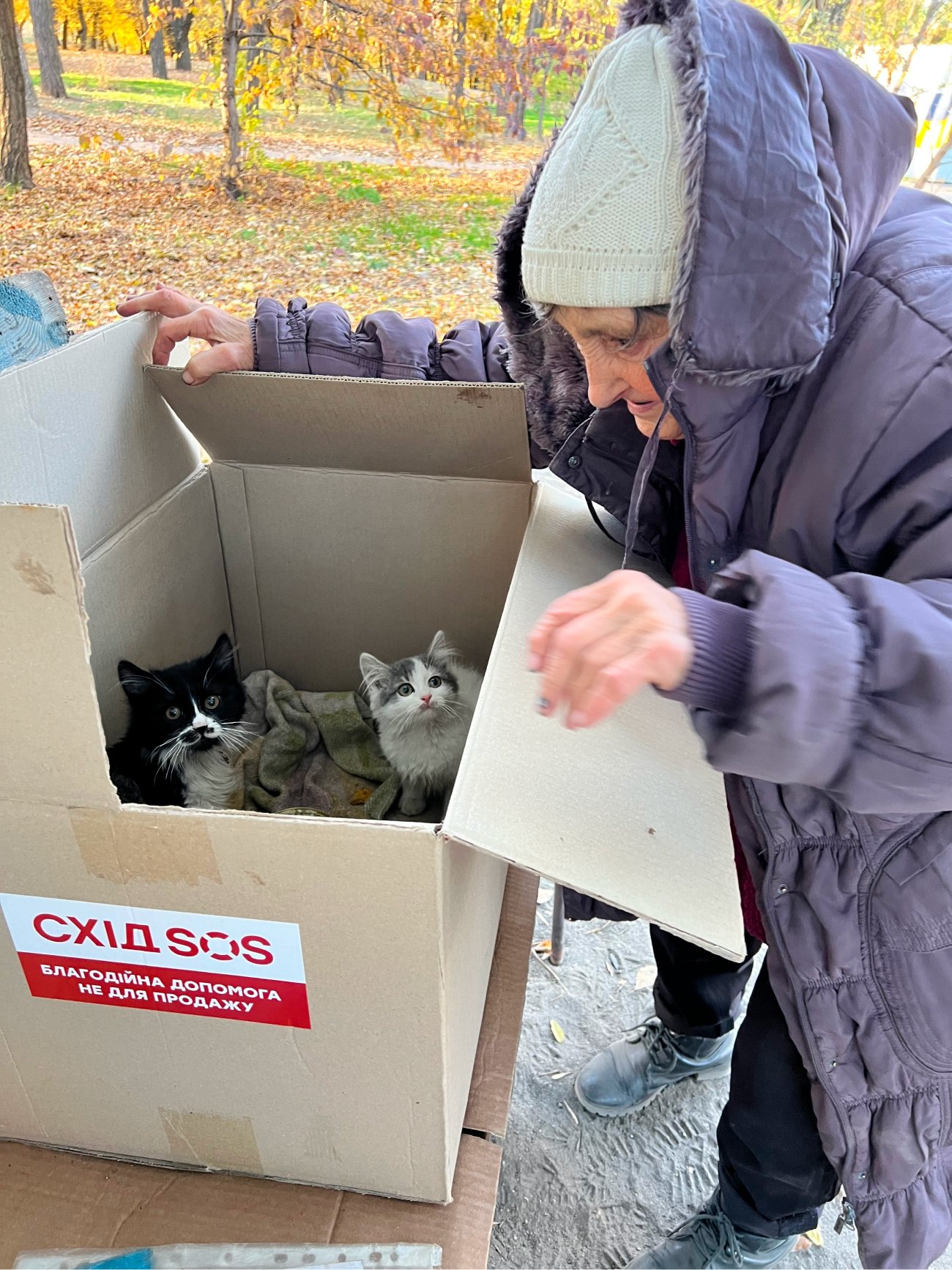 “You can’t pack your whole life into one bag. I had a beautiful house”: the story of Liudmyla, a retired woman from Pokrovsk district | CF «East SOS», картинка №2