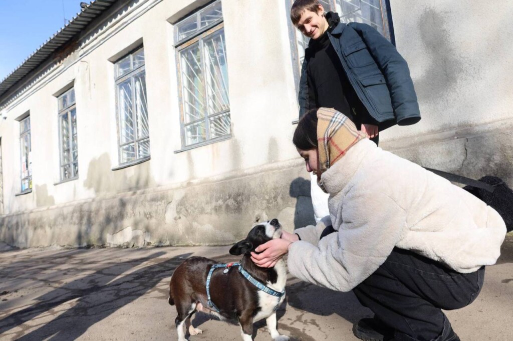 Saving Hera: the story of Mr. Volodymyr and Hera the dog from Pokrovsk | CF «East SOS», картинка №3