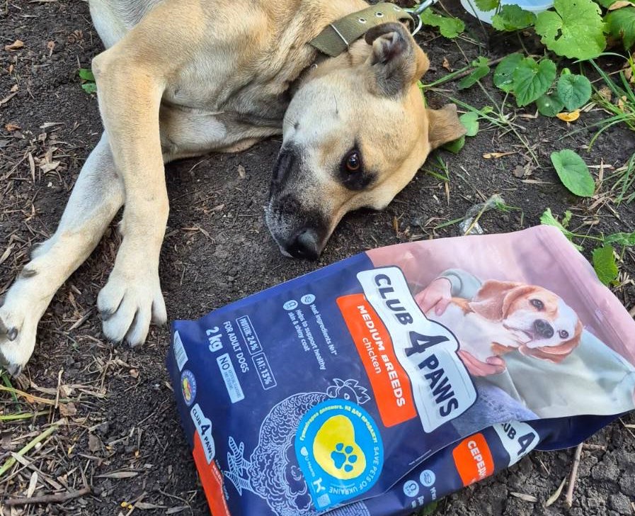 Making the World Kinder: CSO “U-Hearts Ukraine” Hands Over 423 kg of Pet Food for Evacuated Animals to CF “East SOS” | CF «East SOS», картинка №3