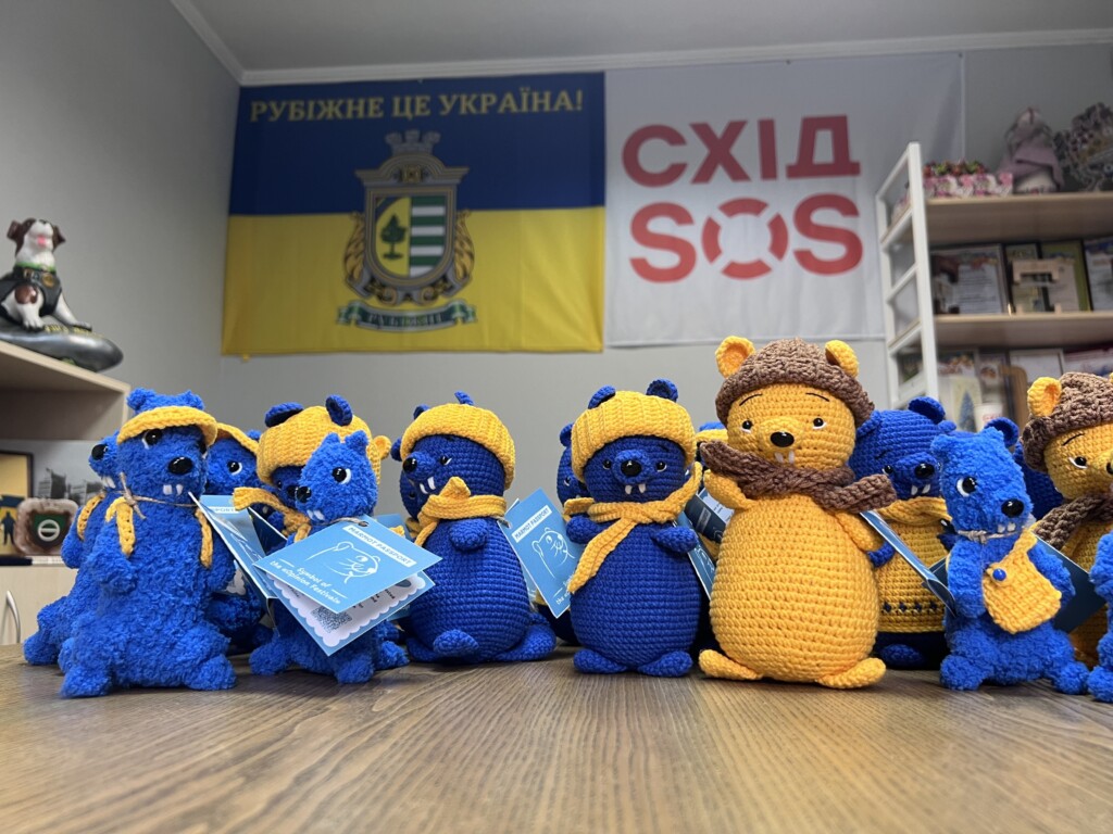 РЕБ = життя | БФ «Схід SOS», картинка №1