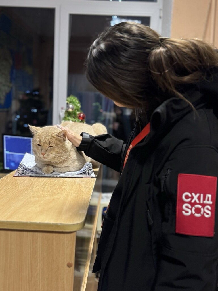 У 2025 році суперкоманда БФ «Схід SOS» була поруч із тими, хто потребував підтримки | БФ «Схід SOS», картинка №22