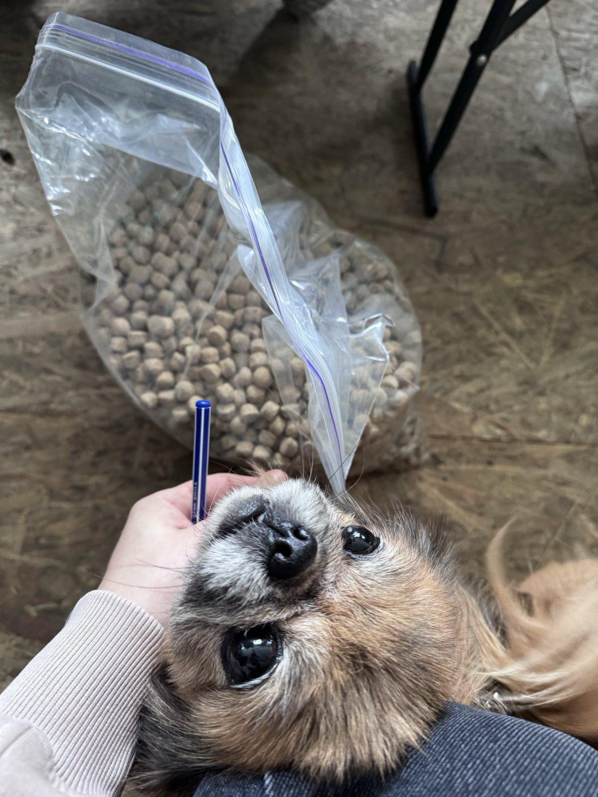 14 грудня в Україні відзначають День благодійництва | БФ «Схід SOS», картинка №4