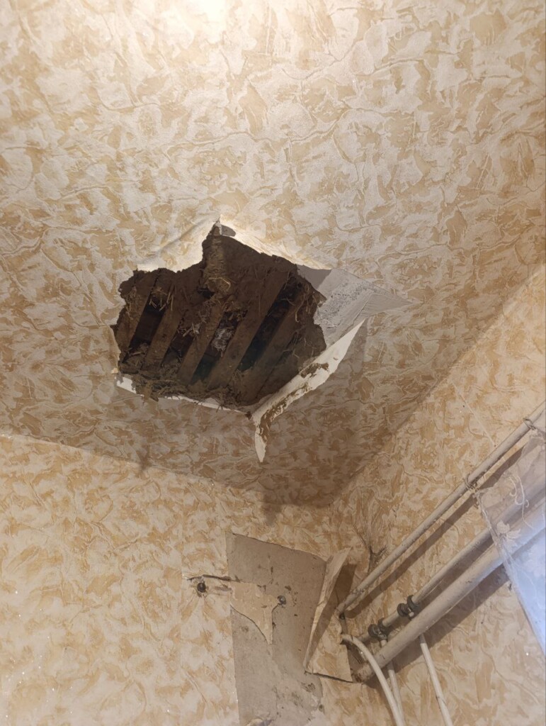 «Там, де я – там і мій дім»: історія Наталії, якій БФ «Схід SOS» допоміг відновити будинок | БФ «Схід SOS», картинка №5