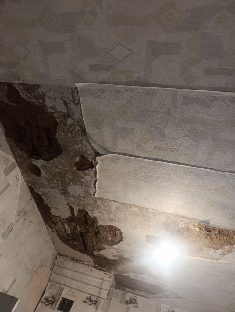 «Там, де я – там і мій дім»: історія Наталії, якій БФ «Схід SOS» допоміг відновити будинок | БФ «Схід SOS», картинка №3