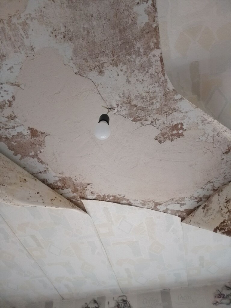 «Там, де я – там і мій дім»: історія Наталії, якій БФ «Схід SOS» допоміг відновити будинок | БФ «Схід SOS», картинка №8