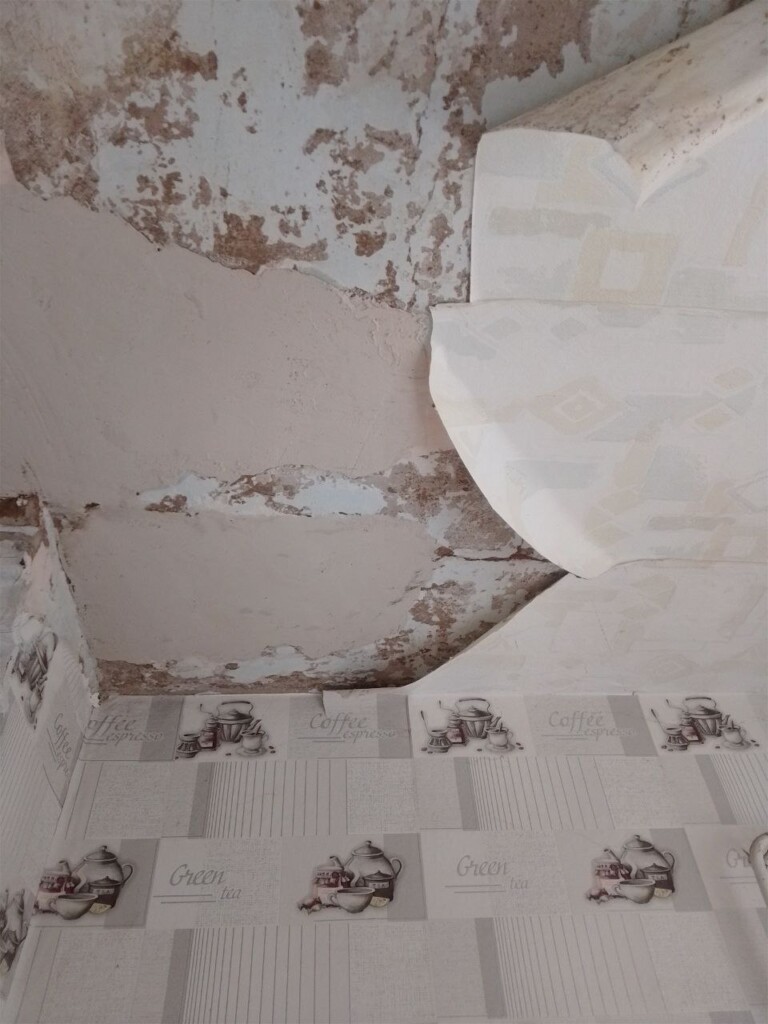 «Там, де я – там і мій дім»: історія Наталії, якій БФ «Схід SOS» допоміг відновити будинок | БФ «Схід SOS», картинка №9