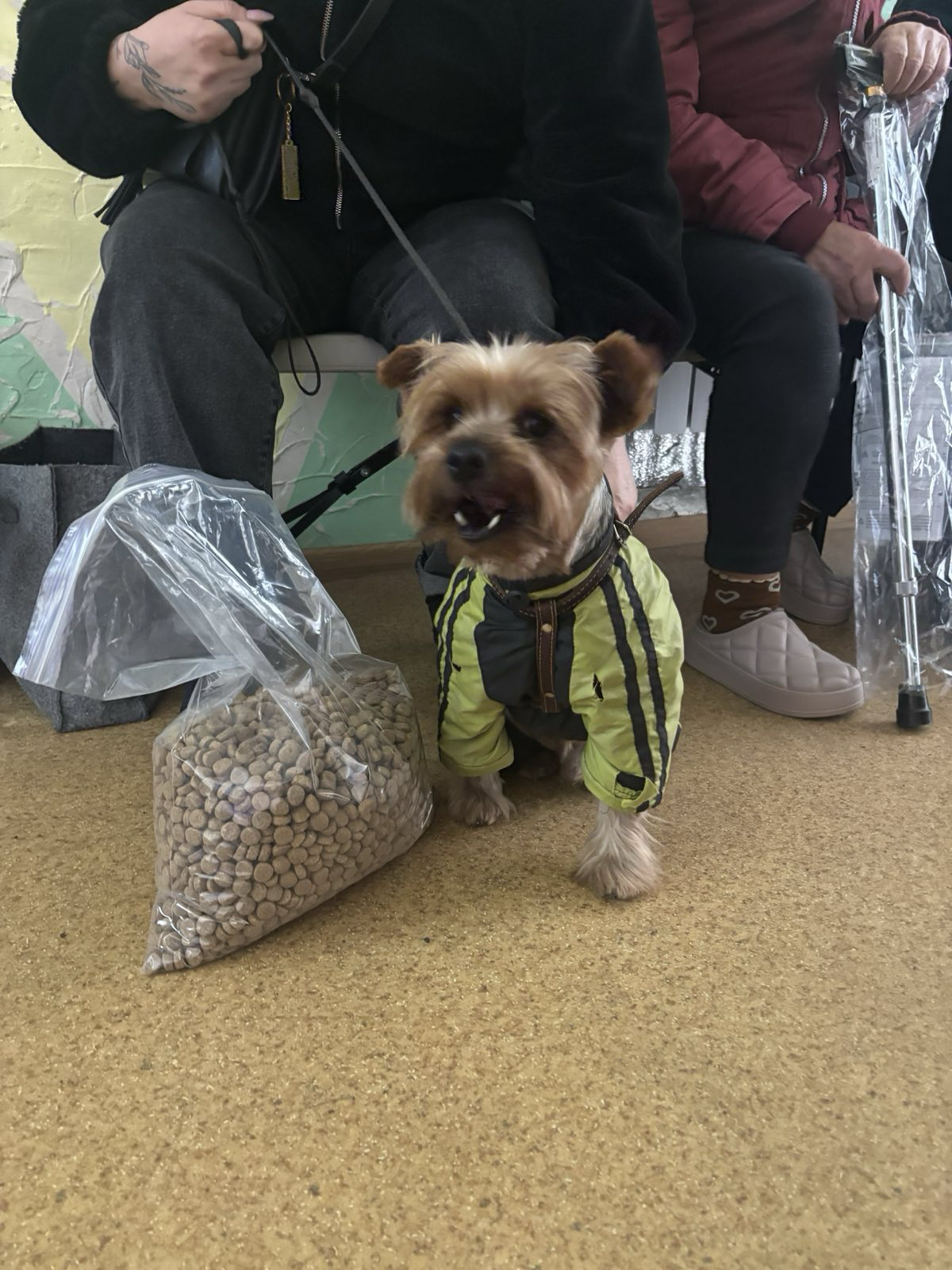 14 грудня в Україні відзначають День благодійництва | БФ «Схід SOS», картинка №9