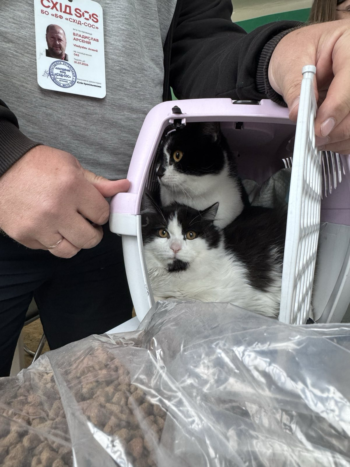 14 грудня в Україні відзначають День благодійництва | БФ «Схід SOS», картинка №11