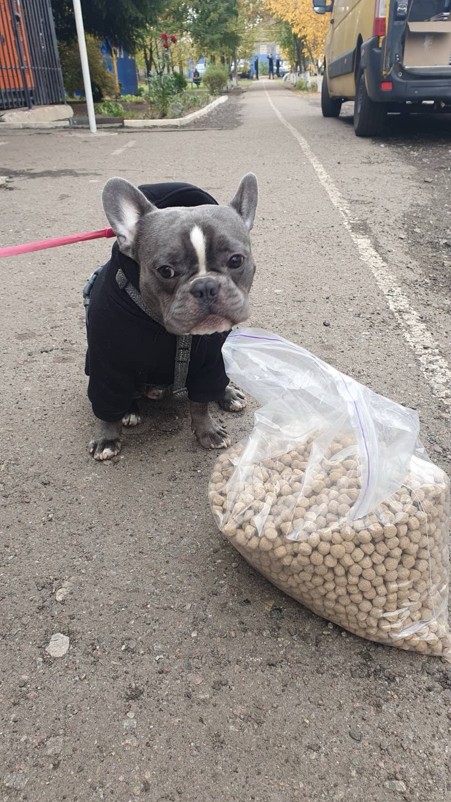 14 грудня в Україні відзначають День благодійництва | БФ «Схід SOS», картинка №12