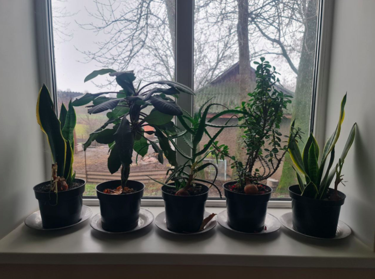 Команда БФ «Схід SOS» скерувала близько 3 000 000 грн на поточний ремонт МТП у селі Семки Вінницької області | БФ «Схід SOS», картинка №5