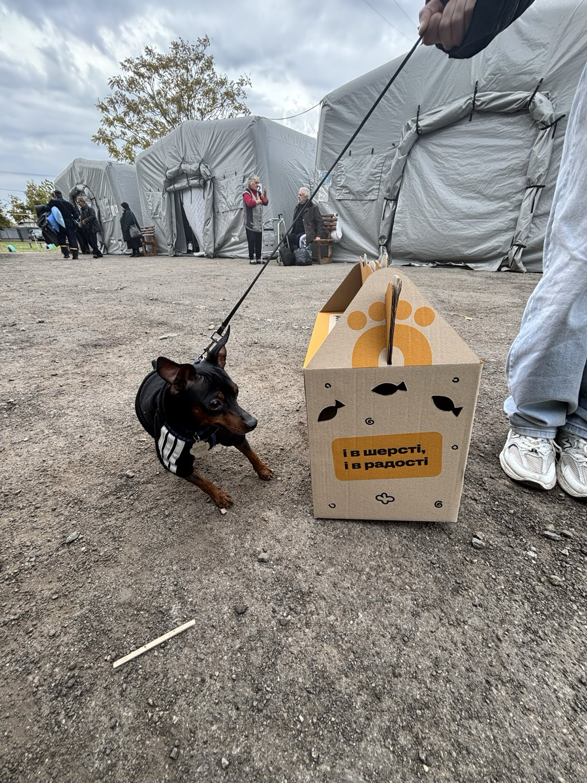 14 грудня в Україні відзначають День благодійництва | БФ «Схід SOS», картинка №19