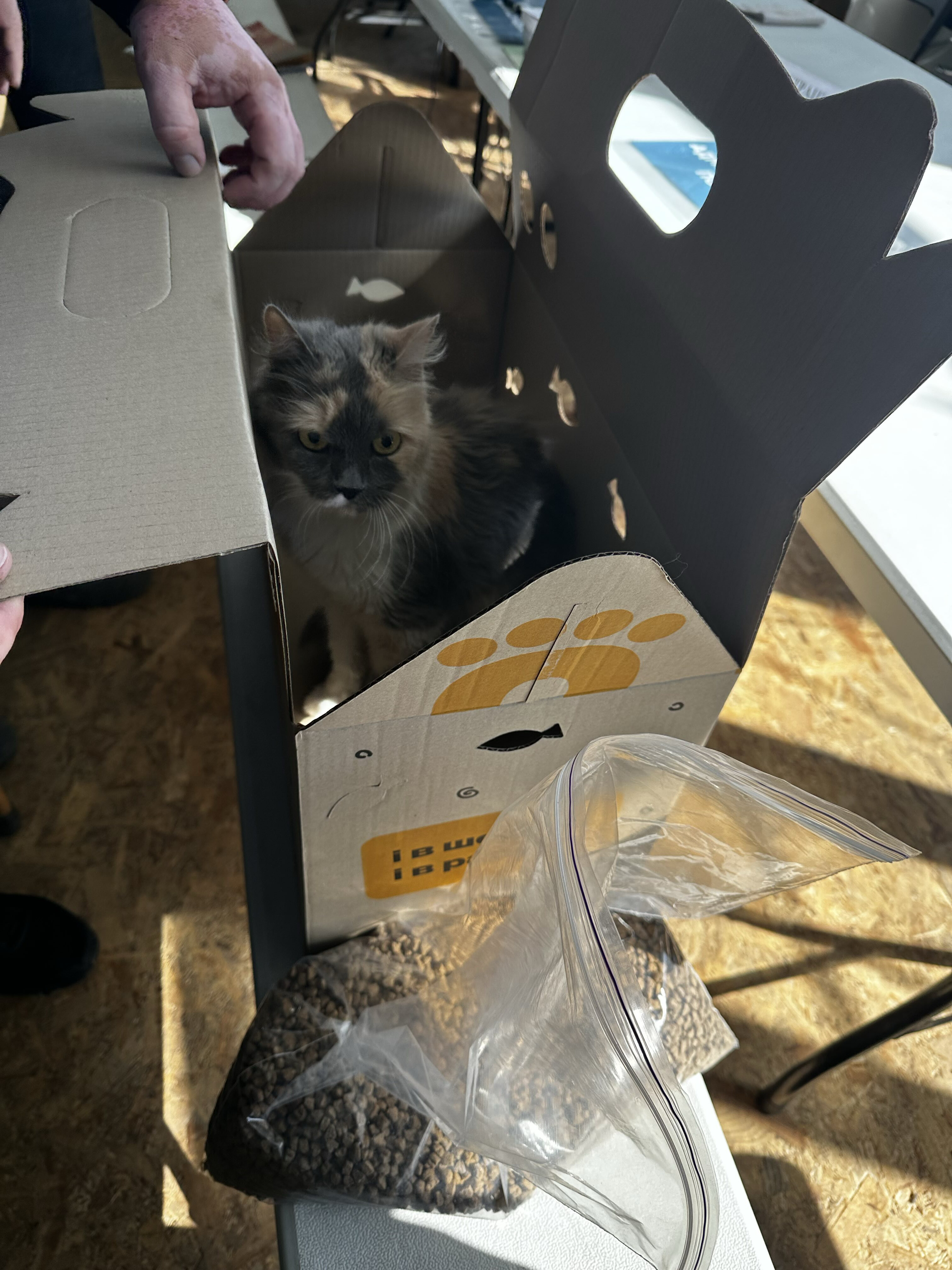 14 грудня в Україні відзначають День благодійництва | БФ «Схід SOS», картинка №7