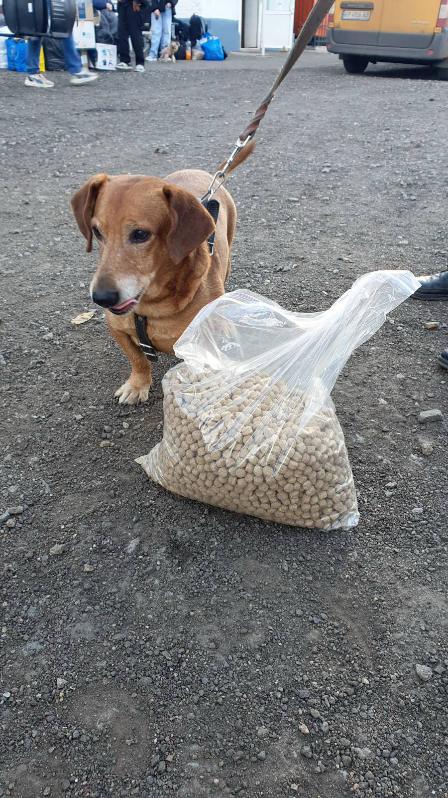 14 грудня в Україні відзначають День благодійництва | БФ «Схід SOS», картинка №20