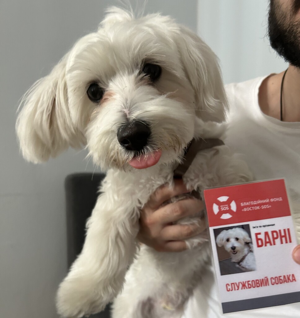 Суперкоманда БФ «Схід SOS»: продовжуємо розповідати про наших хвостатих помічників і помічниць | БФ «Схід SOS», картинка №14