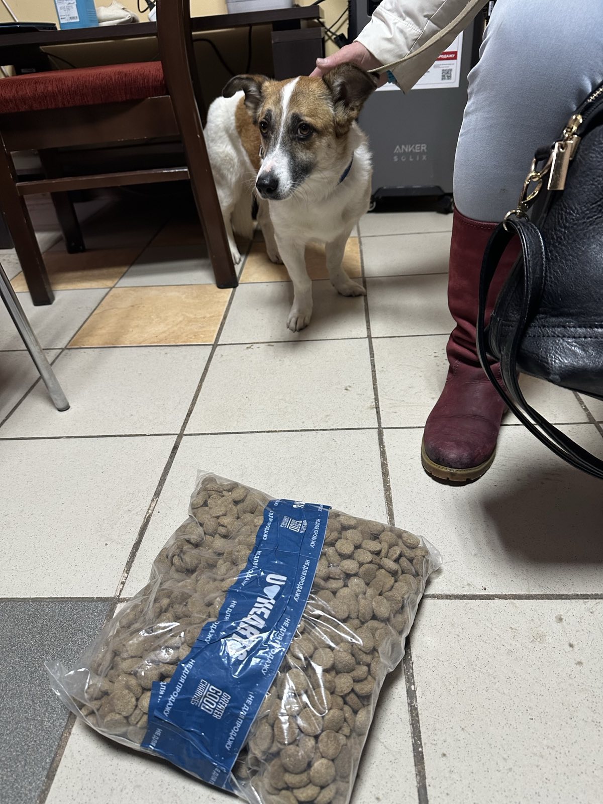 Команда Благодійного фонду «Схід SOS» підтримує евакуйованих у транзитному центрі Запоріжжя | БФ «Схід SOS», картинка №8