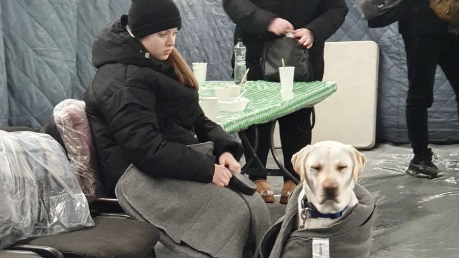 Команда БФ «Схід SOS» підтримала постраждалих від ворожих обстрілів у Запоріжжі та Дніпрі | БФ «Схід SOS», картинка №9