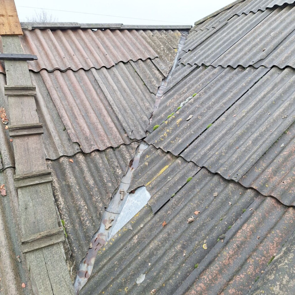 Будинок, відновлений БФ «Схід SOS», став простором для життя і творчості: історія пані Любові | БФ «Схід SOS», картинка №2