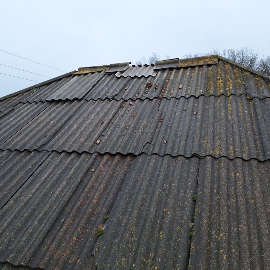 Будинок, відновлений БФ «Схід SOS», став простором для життя і творчості: історія пані Любові | БФ «Схід SOS», картинка №3