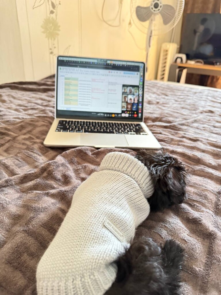 Суперкоманда «Схід SOS»: розповідаємо про хвостатих помічників фонду | БФ «Схід SOS», картинка №16