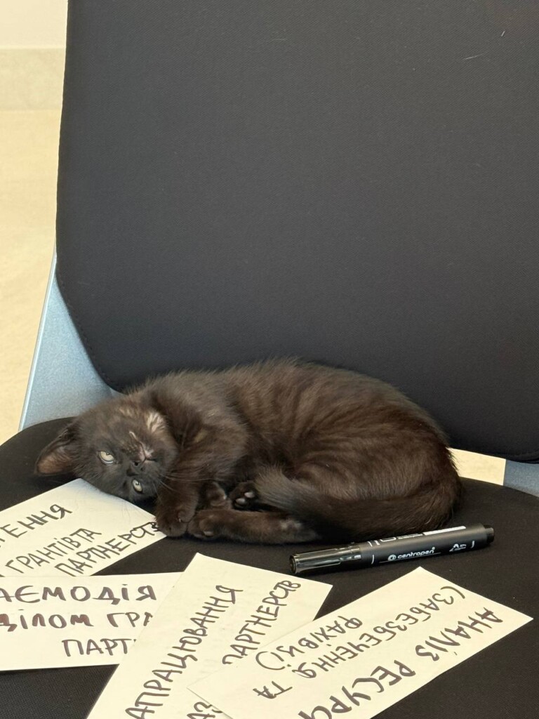 Суперкоманда «Схід SOS»: розповідаємо про хвостатих помічників фонду | БФ «Схід SOS», картинка №12