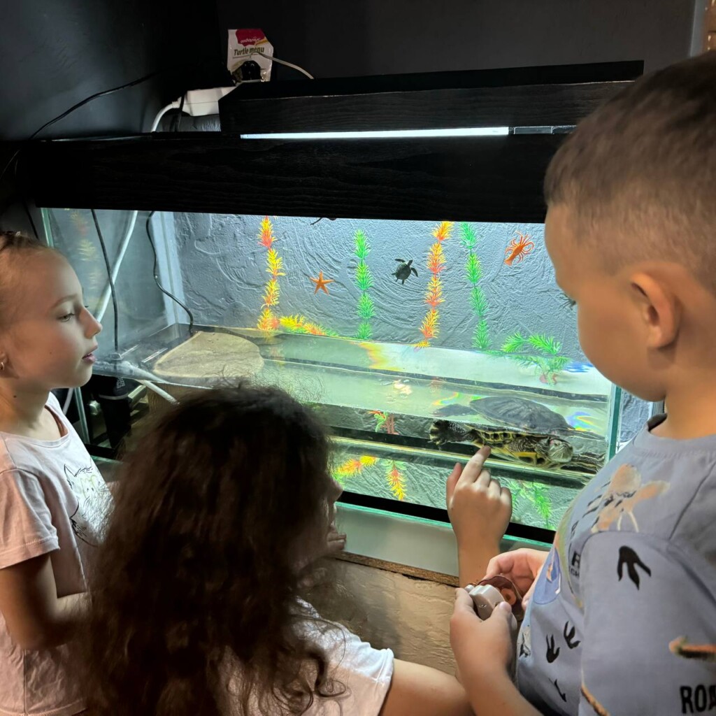 Суперкоманда БФ «Схід SOS»: продовжуємо розповідати про наших хвостатих помічників і помічниць | БФ «Схід SOS», картинка №11