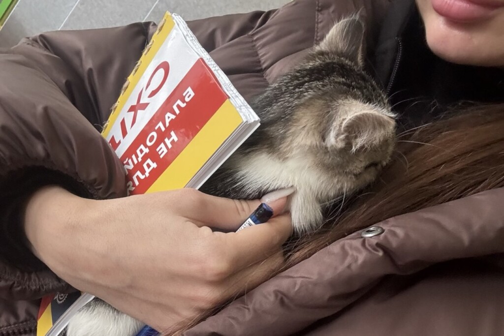 Евакуація разом із хвостиками: як БФ «Схід SOS» підтримує людей та їхніх тварин у складних обставинах | БФ «Схід SOS», картинка №6