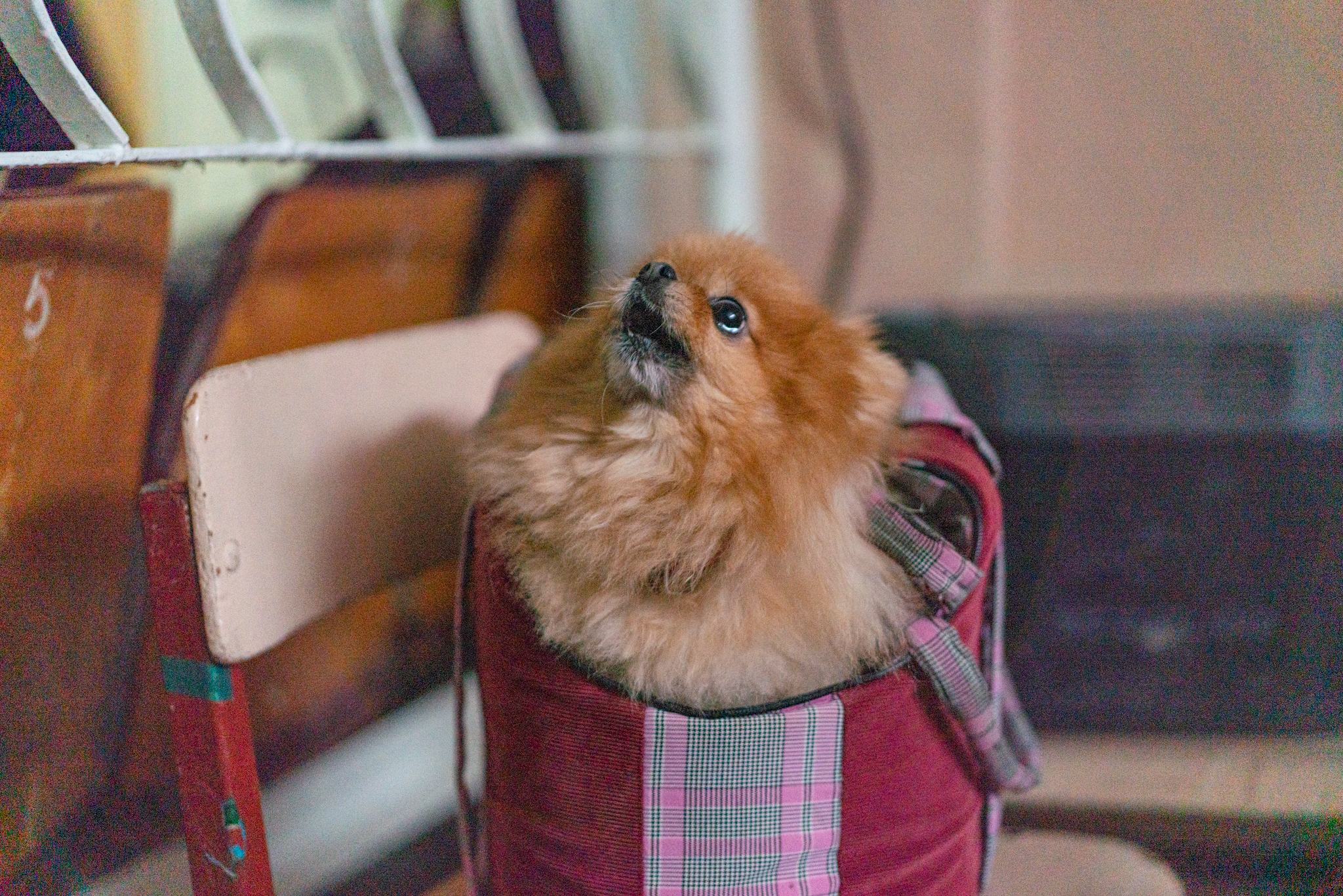 Американський фотограф Карло Браво закарбував моменти у транзитному центрі в Лозовій на Харківщині | БФ «Схід SOS», картинка №2