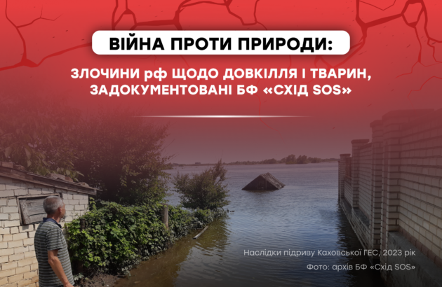 Війна проти природи: злочини рф щодо довкілля і тварин, задокументовані БФ «Схід SOS»