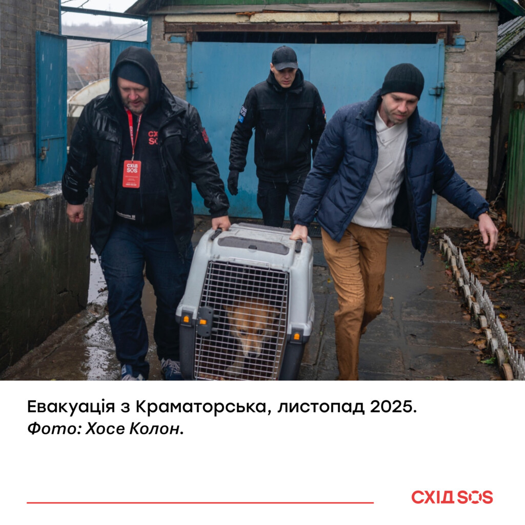 Коли доступність – умова виживання | БФ «Схід SOS», картинка №14
