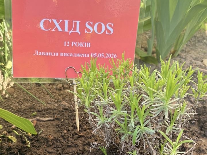Світанок БФ «Схід SOS»: як ми малювали надію в просторах «Затишно space» | БФ «Схід SOS», картинка №26