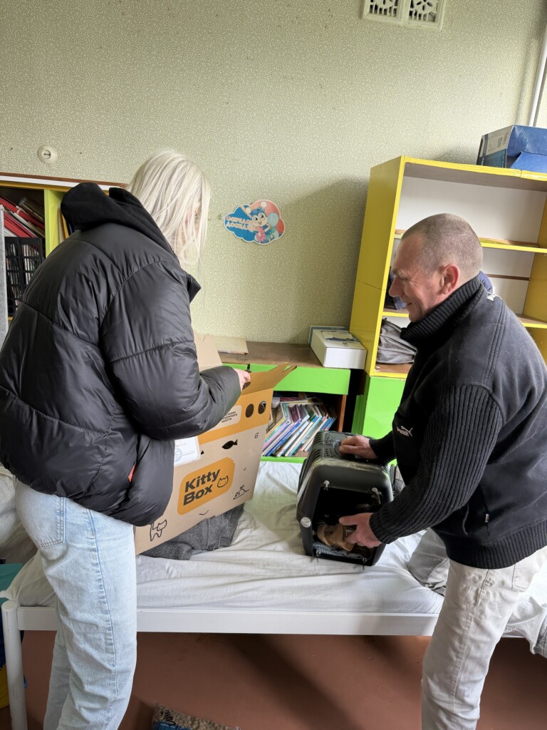 Безпечніша дорога для хвостиків: Pethouse передав 200 картонних переносок для евакуації тварин | БФ «Схід SOS», картинка №3