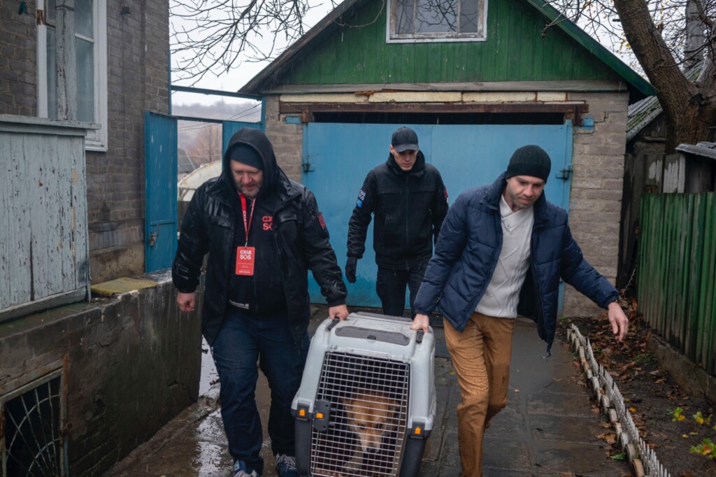 When Accessibility Becomes a Matter of Survival | CF «East SOS», картинка №6