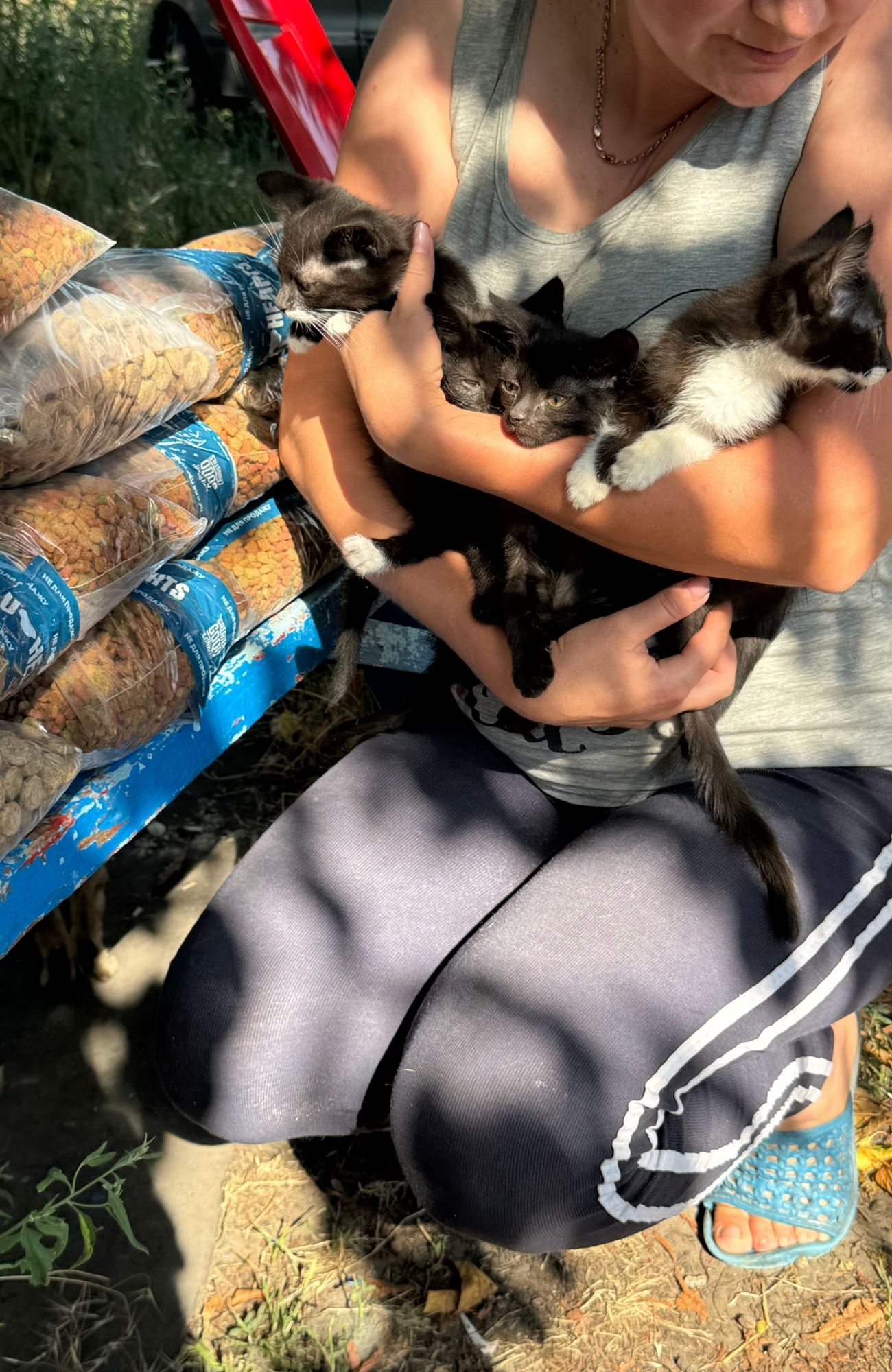 Together to a Safer Place: East SOS Shares Stories of Helping People and Their Pets | CF «East SOS», картинка №5