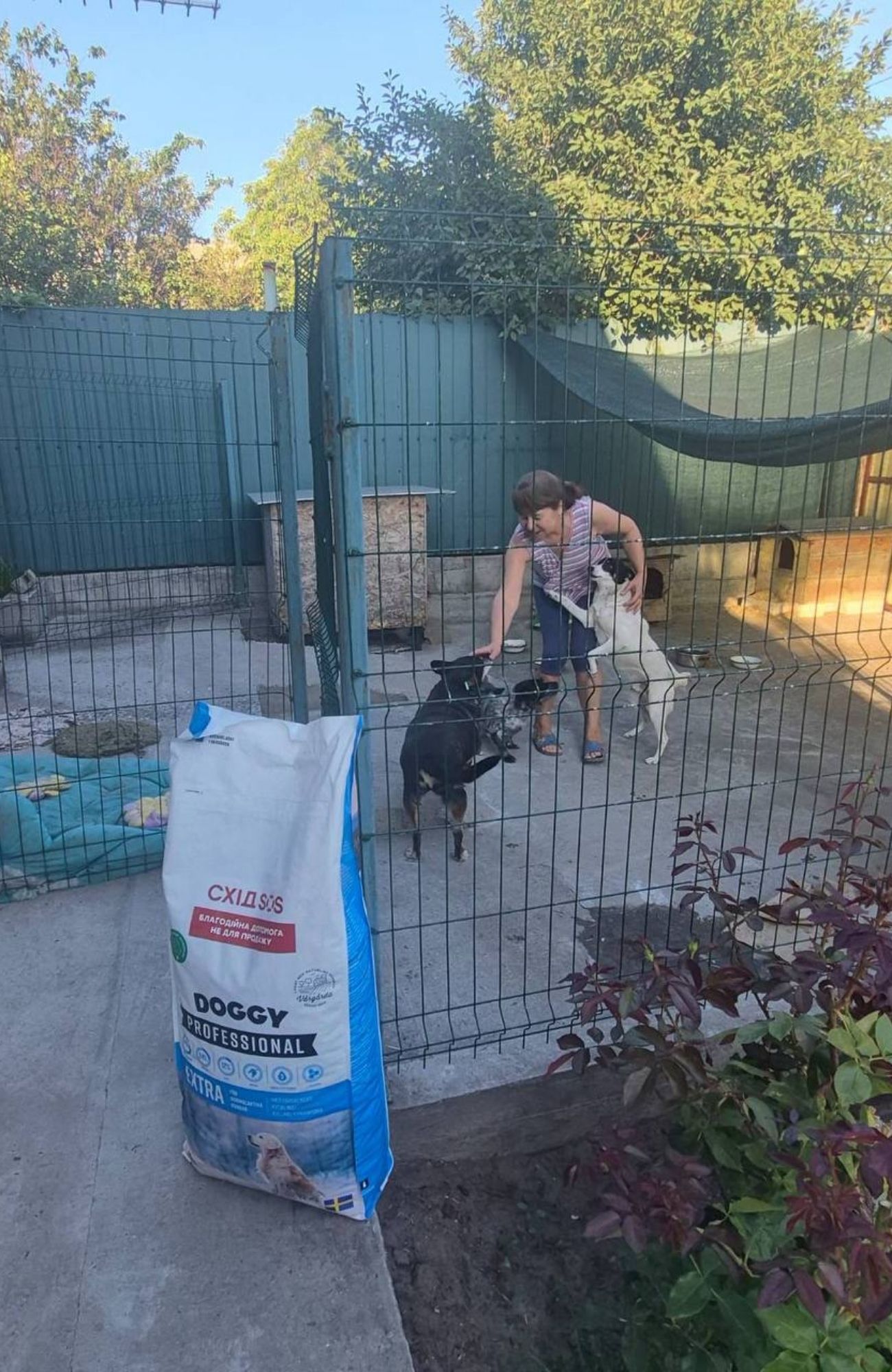 Together to a Safer Place: East SOS Shares Stories of Helping People and Their Pets | CF «East SOS», картинка №10