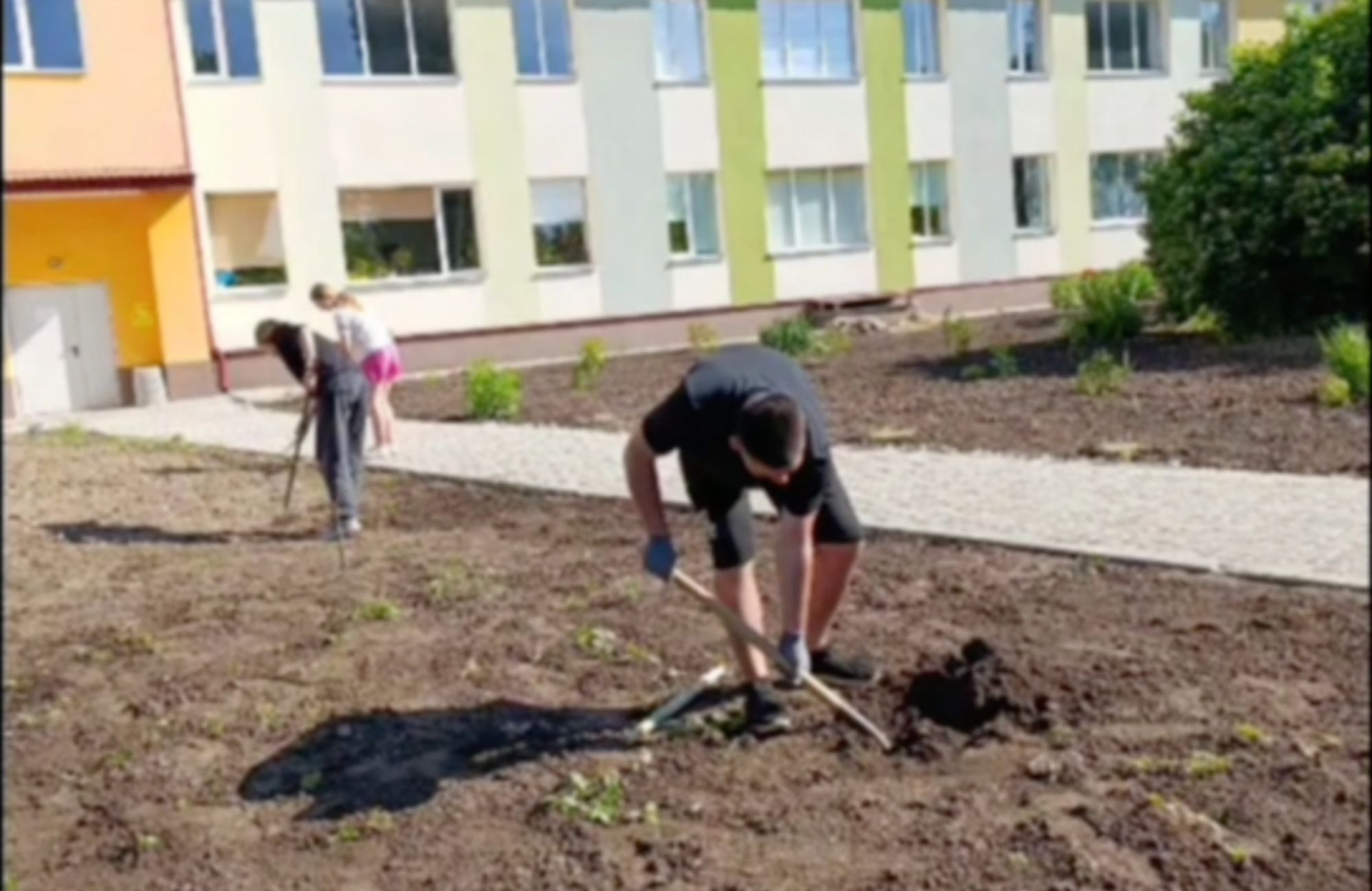 Знання, що стають діями: як освітній проєкт «Школу-вгору» від БФ «Схід SOS» перетворюється на зміни в громадах | БФ «Схід SOS», картинка №20