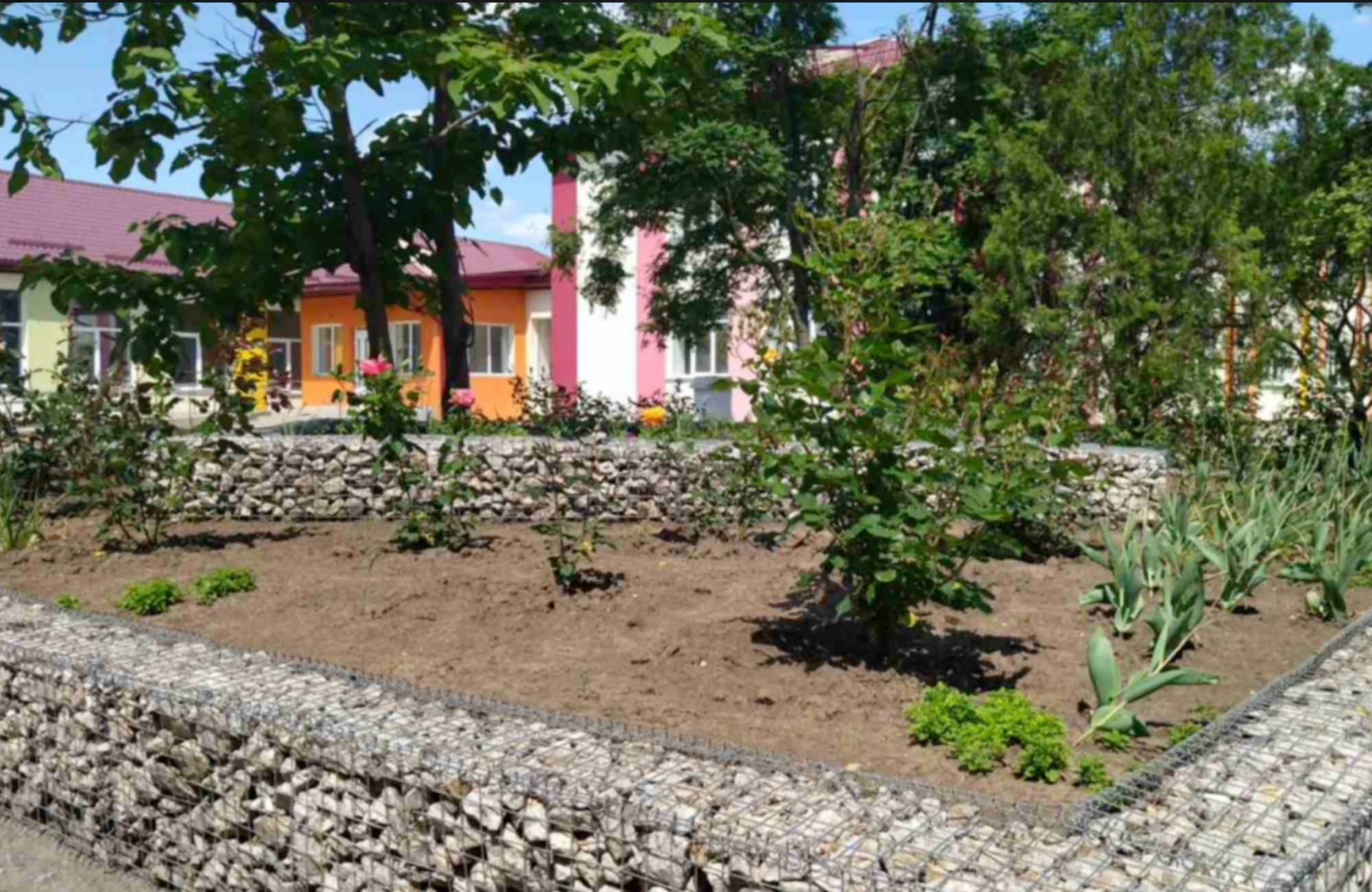 Знання, що стають діями: як освітній проєкт «Школу-вгору» від БФ «Схід SOS» перетворюється на зміни в громадах | БФ «Схід SOS», картинка №19