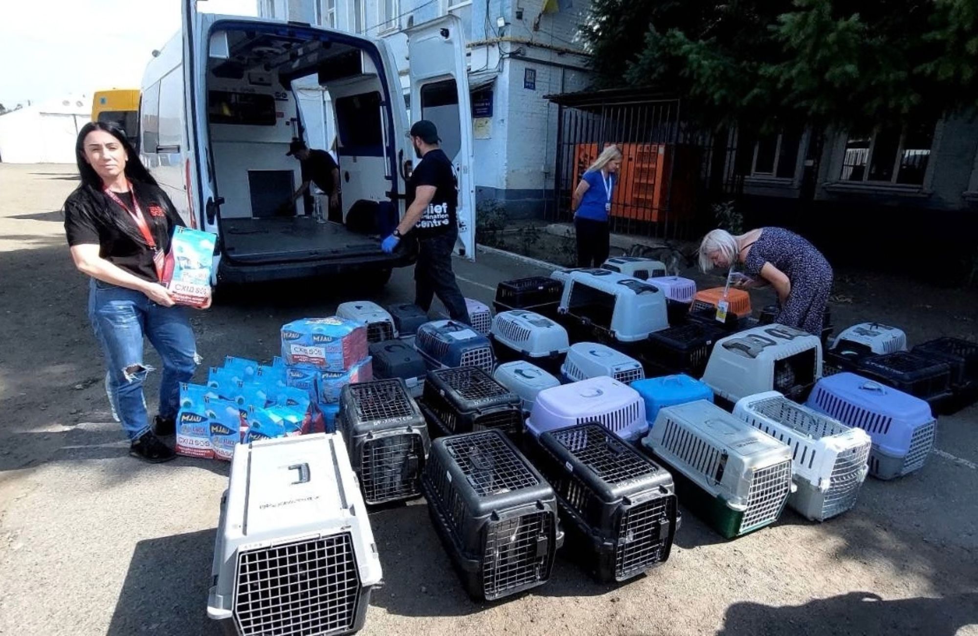 67 котів і 15 собак: БФ «Схід SOS» підтримав пані Анастасію та її улюбленців після евакуації зі Слов’янська | БФ «Схід SOS», картинка №4