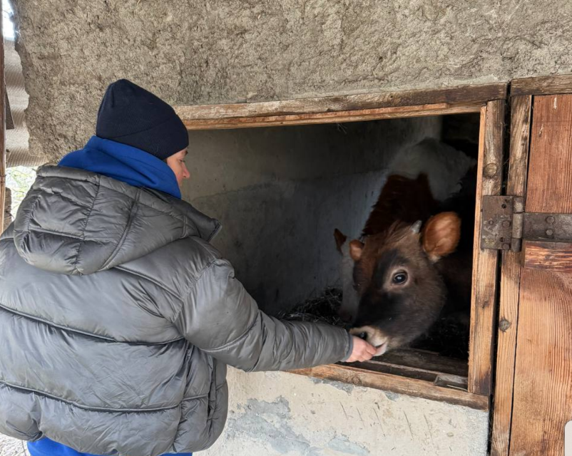 «Я нікого не покину!»: історія Ольги з Ізюма, яка врятувала десятки тварин від загибелі | БФ «Схід SOS», картинка №7