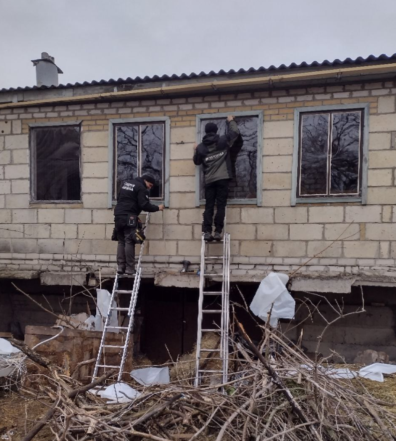«Я нікого не покину!»: історія Ольги з Ізюма, яка врятувала десятки тварин від загибелі | БФ «Схід SOS», картинка №6
