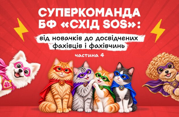 Хвостата суперкоманда БФ «Схід SOS»: від новачків до досвідчених фахівців і фахівчинь